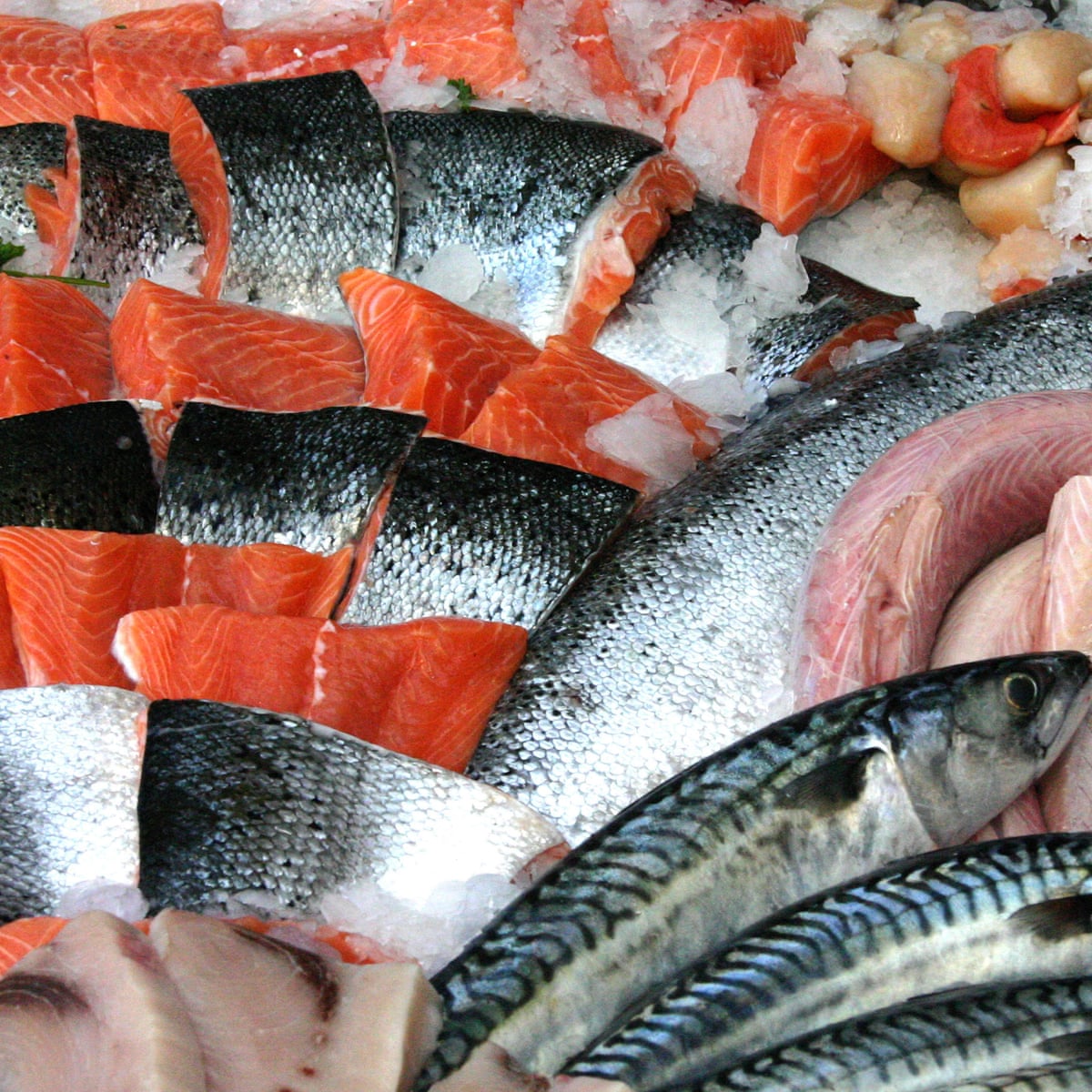 Aldi Named As Best British Supermarket For Sustainable Fish Fishing The Guardian