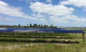 A view of Genex Power’s 50 megawatt Kidston solar farm in northern Queensland, Australia April 4, 2019.