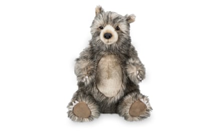Spotlight On … 'Collinn', our Steiff Teddy Bear