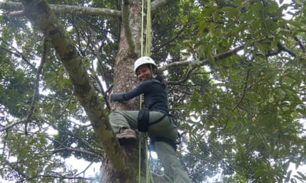 Scientist, Sheema Aziz, making her up the durian tree.