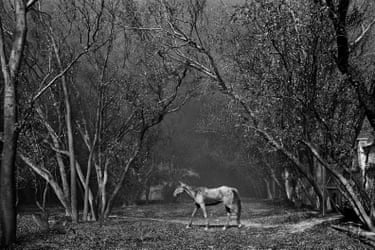 Sebastião Salgado. Kuwait. A Desert on Fire. Books Sebastião Salgado. Kuwait. A Desert on Fire. Books