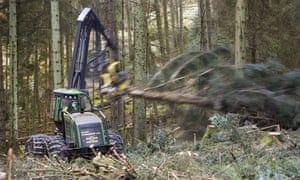 Cutting timber to be used as biofuel in Grizedale Forest, Lake District, UK