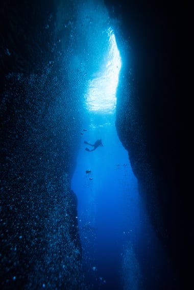 The deep sea was revealed by the Challenger expedition.