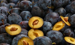 šljiva plum Croatian