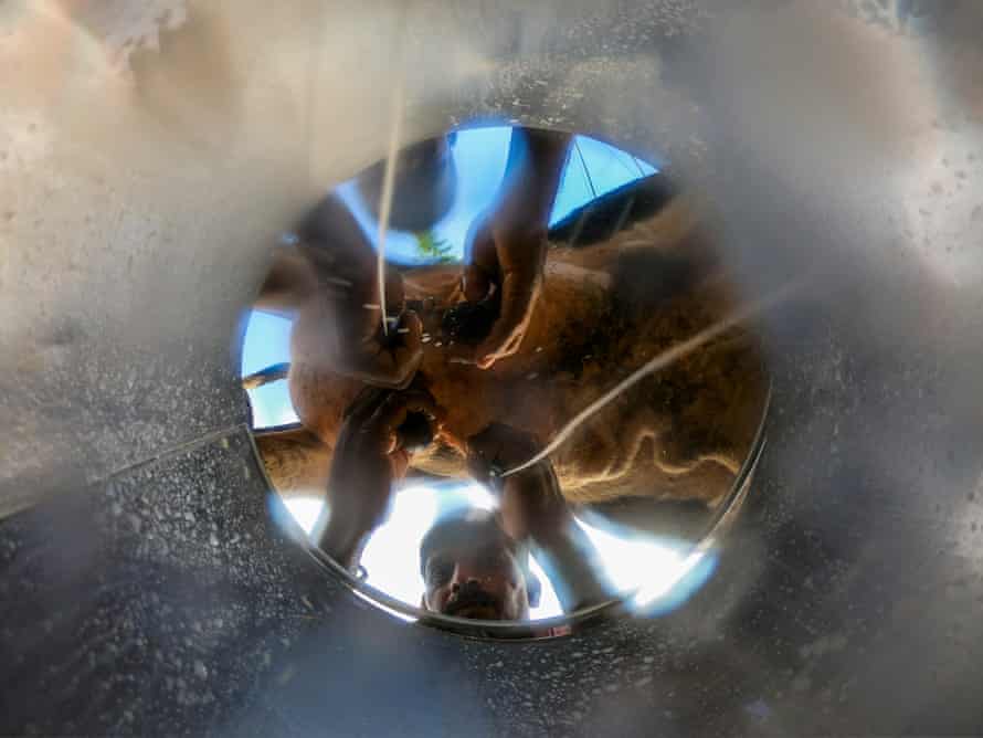 Smallholder dairy farmers milk their cow before depositing the milk at the Lakshmi Dairy at Karajgaon, in Latur District, Maharshtra