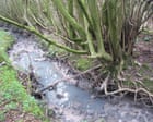 Yorkshire Water multata oltre 700.000 sterline per inquinamento da fognatura nel parco nazionale Pools Brook