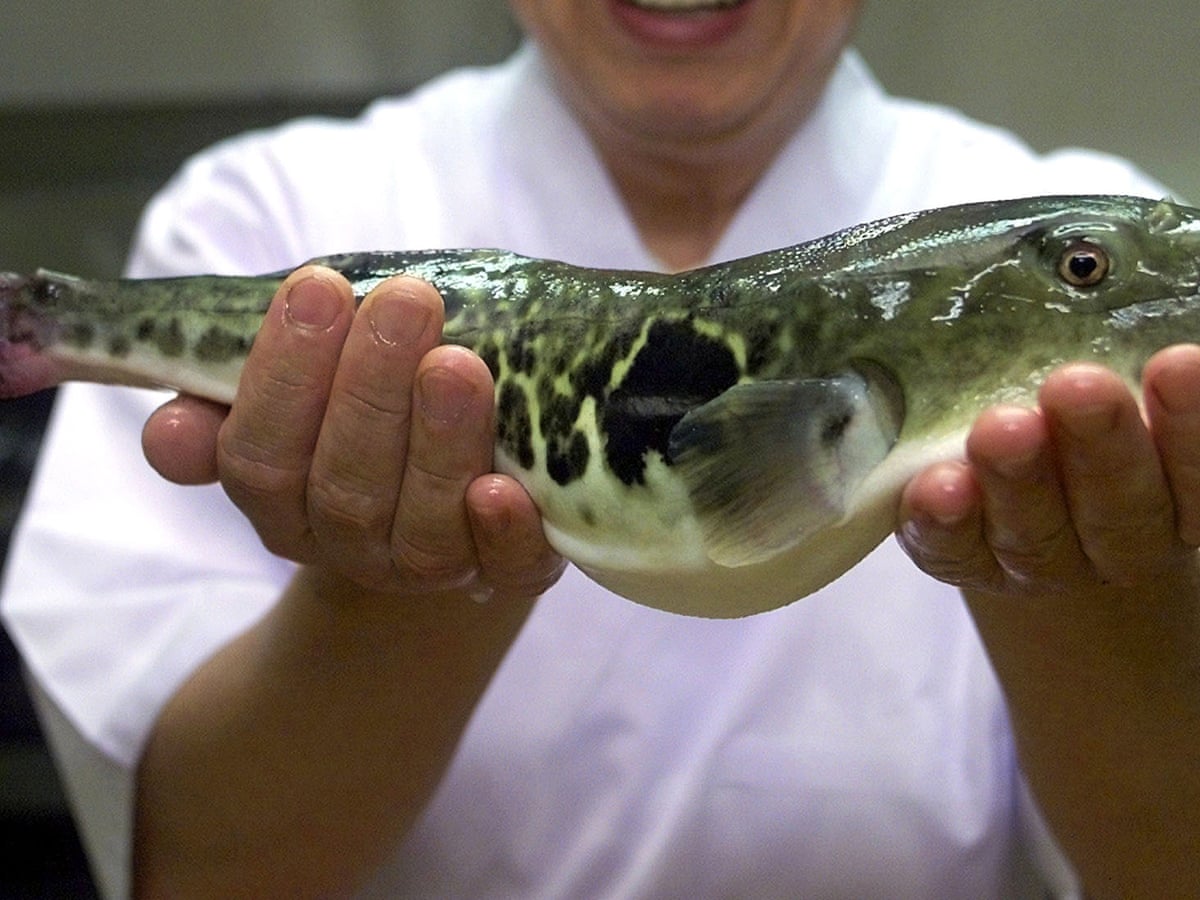 Toxine fugu, Toxine din peste si alte specii acvatice