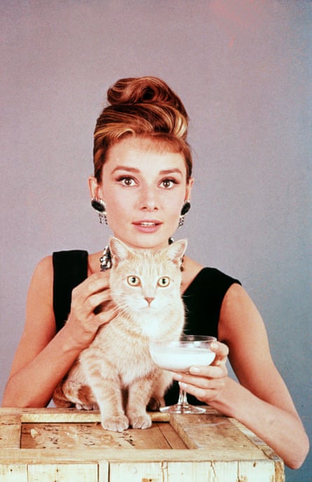 Audrey Hepburn with ‘Cat’ in Breakfast At Tiffany’s.