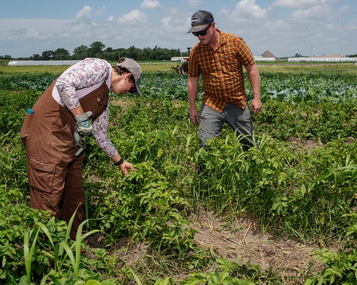 ‘A slap in the face’: small farmers say Trump is turning his back on them