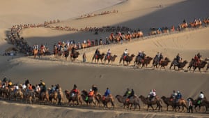 A long string of tourists riding camels along sandy ridges