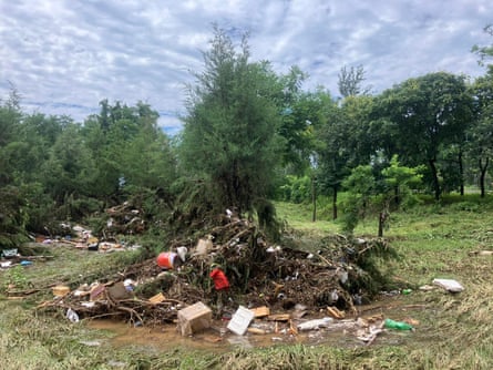Destroyed trees in Century Sports Park. Image taken by Amy Hawkins on 29 July 2025.