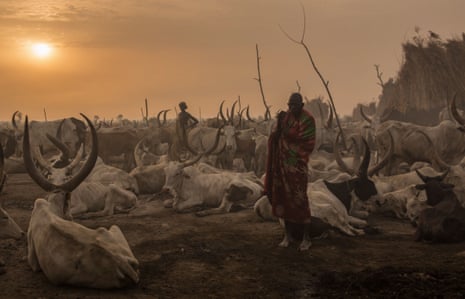 Morning in a cattle camp, South Sudan