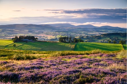 the Cheviot hills as seen from Lordenshaws hillfort