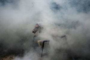 Fumigation smoke engulfs a toy horse as health workers spray residential areas to kill mosquitos and combat the spread of dengue in Panama City