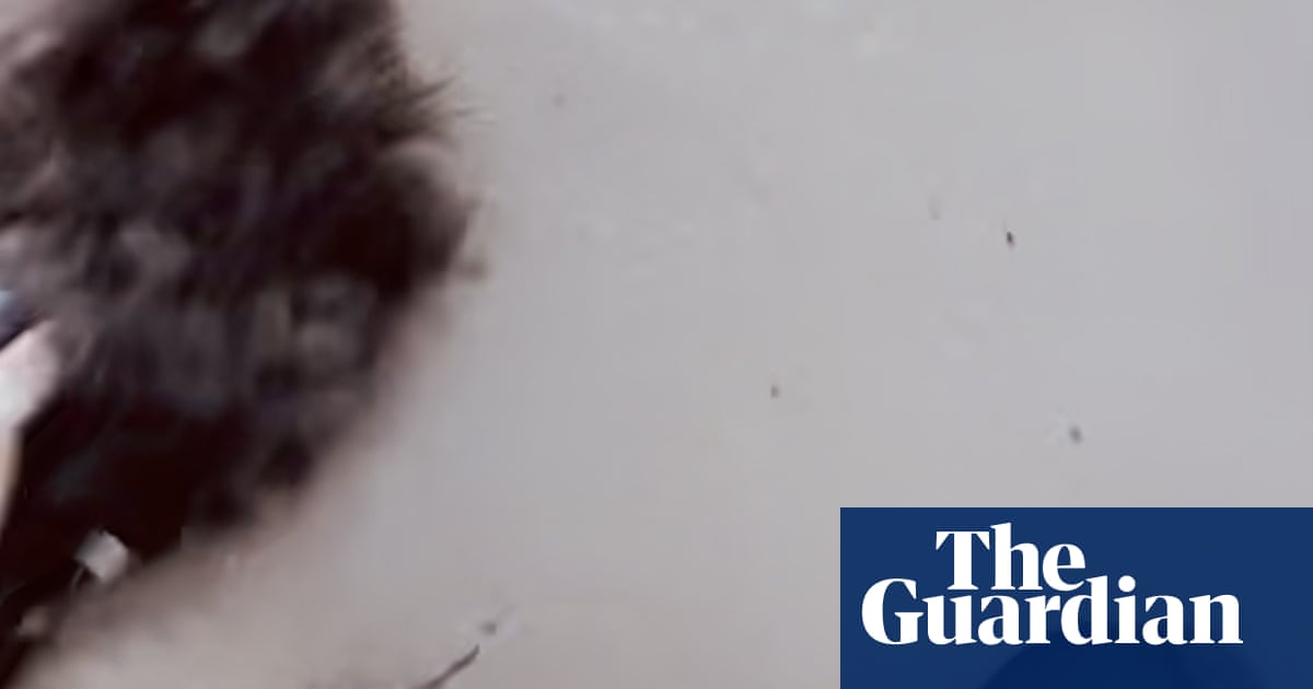 Laughter turns to fear as woman and dog sink into quicksand on South Australian beach – video