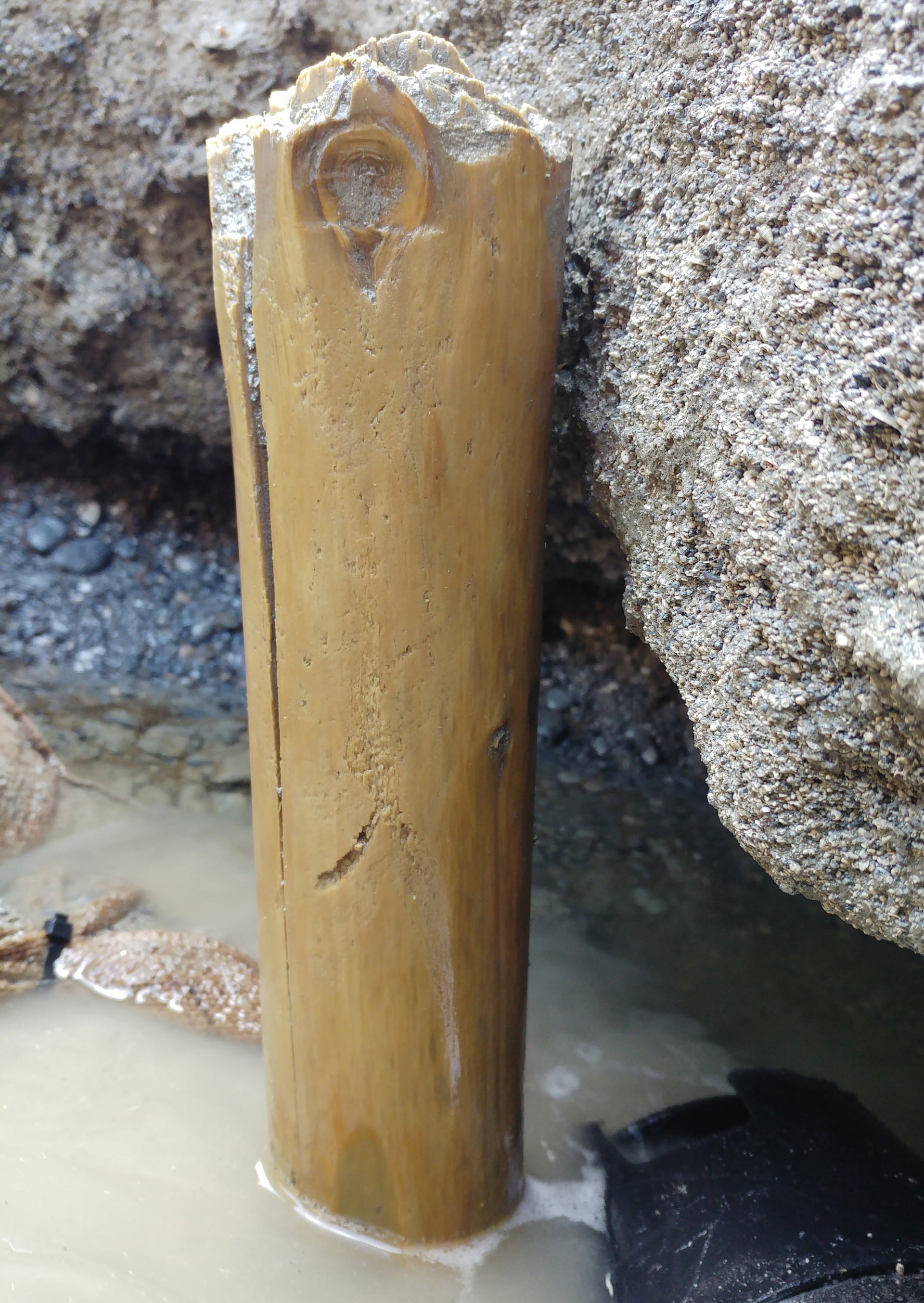 Un poste de madera preservado de hace dos mil años.