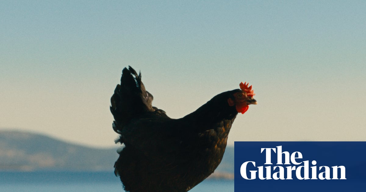 ‘Somehow you become the chicken’: inside the film about people-smuggling told through the eyes of a hen