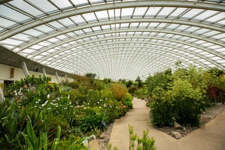 A glasshouse filled with Mediterranean plants with a huge curved glass roof with many bars