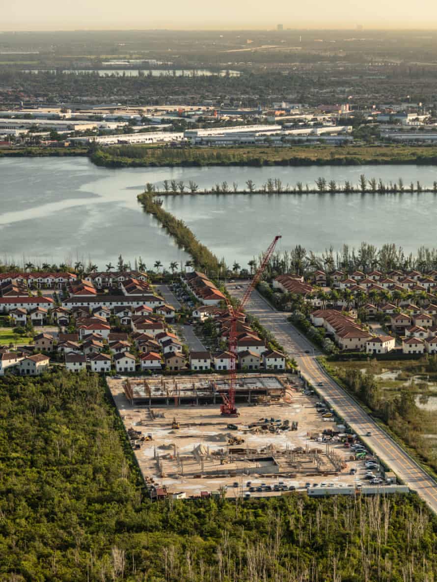 Construction by American Wood Stork Lake Miami bordering the Everglades