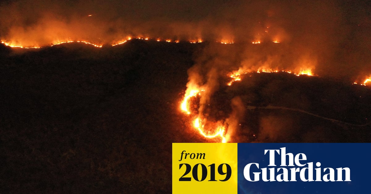 Amazon rainforest fires: global leaders urged to divert Brazil from 'suicide' path