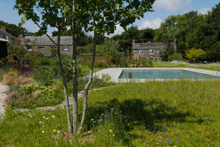 Cottages around a swimming pool surrounded by long grass with wildflowers