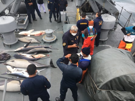 Peru coastguard. the boarding of the Rosario by the Peruvian coastguard, the fishermen and illegal catch being brought back onto the coastguard vessel the BAP Rio Cañete. Also the rescue of the sea lion.