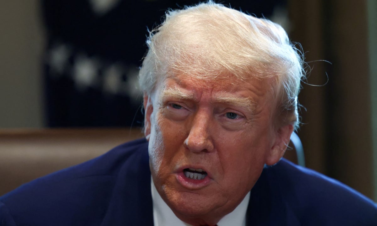Trump says he 'doesn't rule out' using military force to control Greenland | Donald Trump | The Guardian