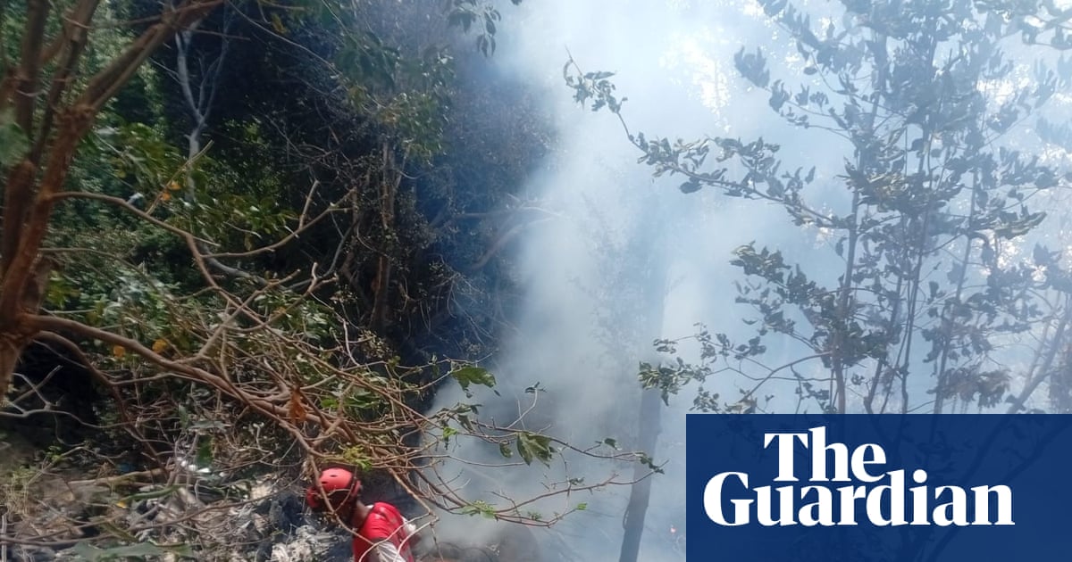 Five Americans among seven killed in safari helicopter crash in Kenya