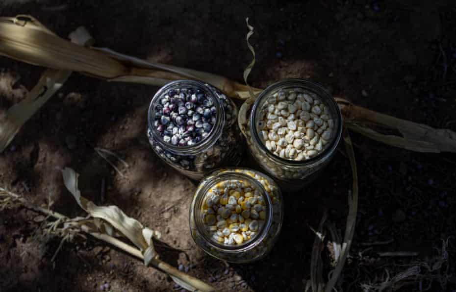 Three tall glass jars hold blue, white and yellow corn kernels.