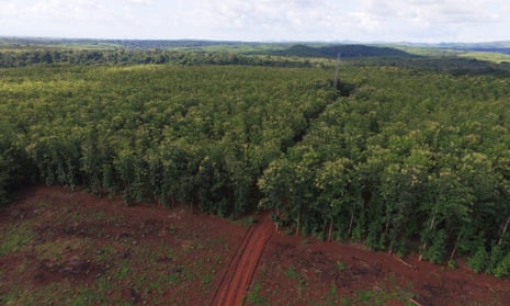 A plantation in Tanzania’s Kilombero valley.