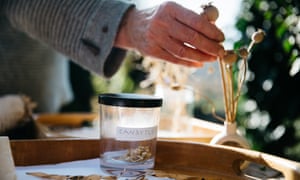 A demonstration of last season's saved seeds in Deidre Pyzer's garden.