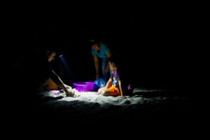 Three people collecting a clutch of sea turtle eggs by torchlight
