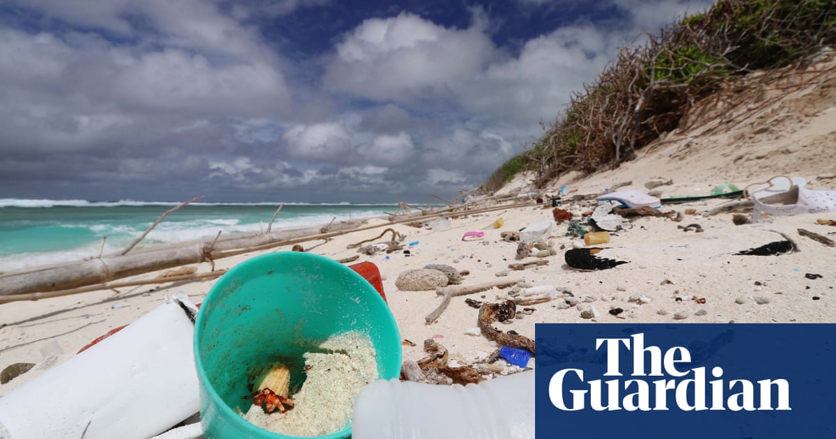 Plastic debris on remote islands raises temperatures by 2.5C and threatens turtle populations