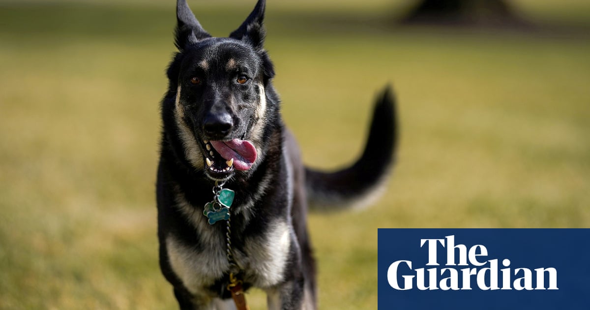 Joe Biden's dog, Major, bites second person in a month