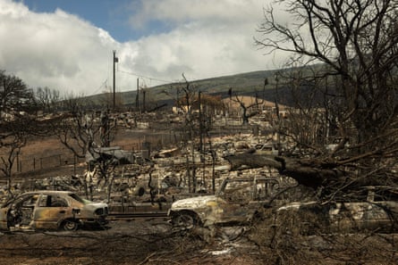 burnt landscape with destroyed cars and dried trees