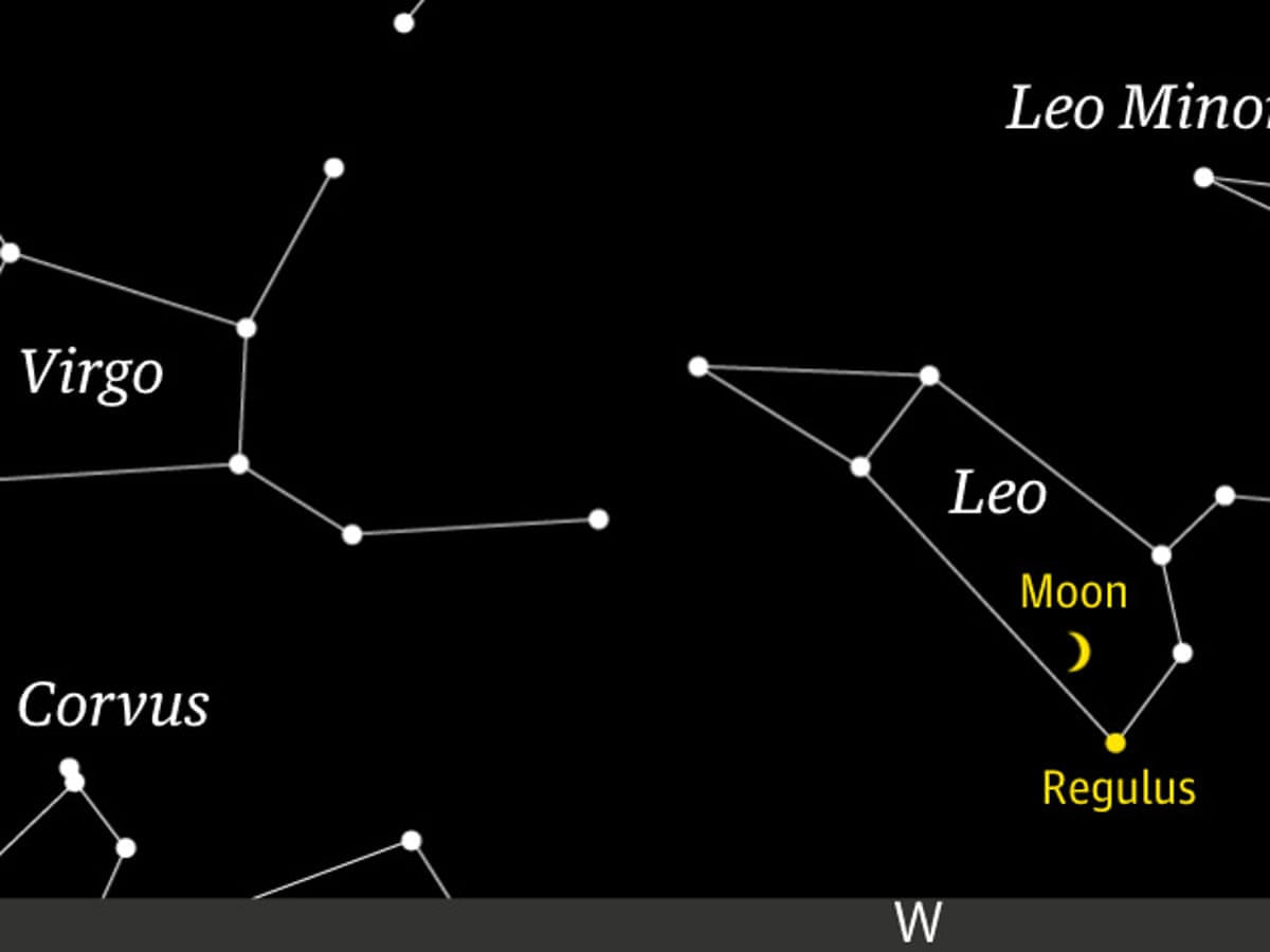 Starwatch The Moon Meets The Lion S Brightest Star Science The Guardian Starwatch The Moon Meets The Lion S Brightest Star Science The Guardian