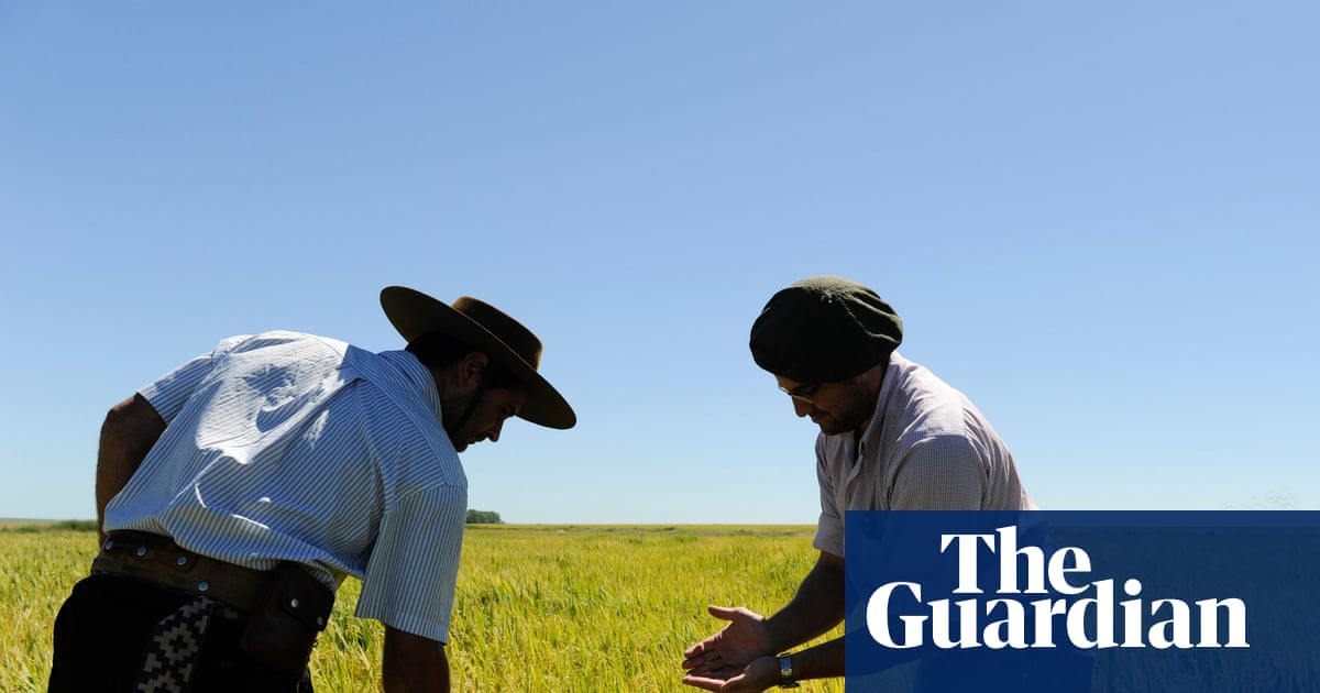 Cancer, lung disease, miscarriages: are Uruguay’s rice workers paying too high a price to bring in the crop?
