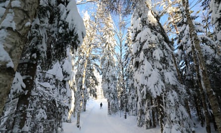 Into the woods … a cross country skier north of Oslo.