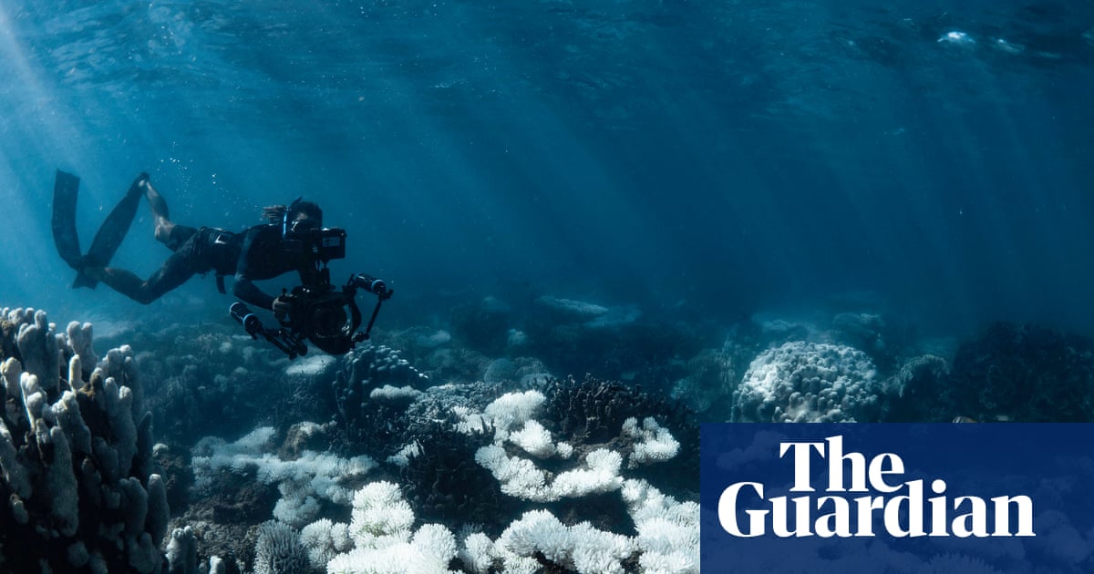 World’s oceans fail key health check as acidity crosses critical threshold for marine life