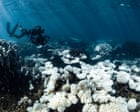 World’s oceans fail key health check as acidity crosses critical threshold for marine life