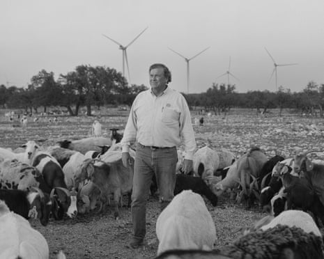 a man stands among sheep and wind turbines