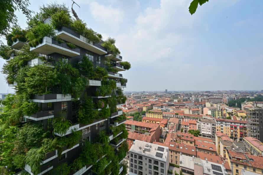 Vegetation sprouts from the Bosco Verticale in Milan.