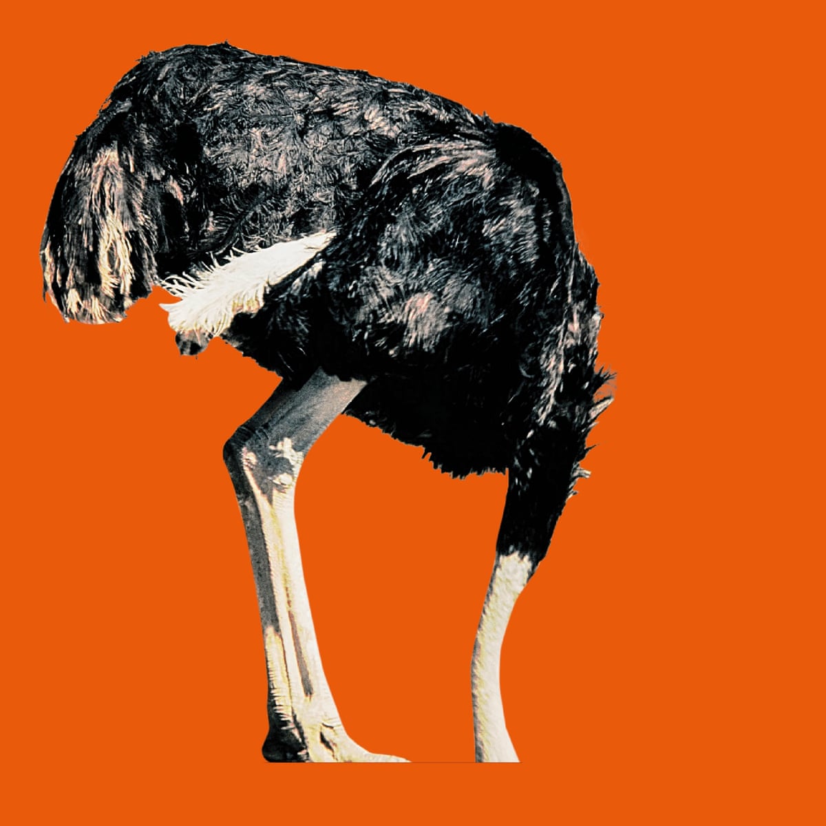 Denialism What Drives People To Reject The Truth Politics The Guardian Denialism What Drives People To Reject The Truth Politics The Guardian