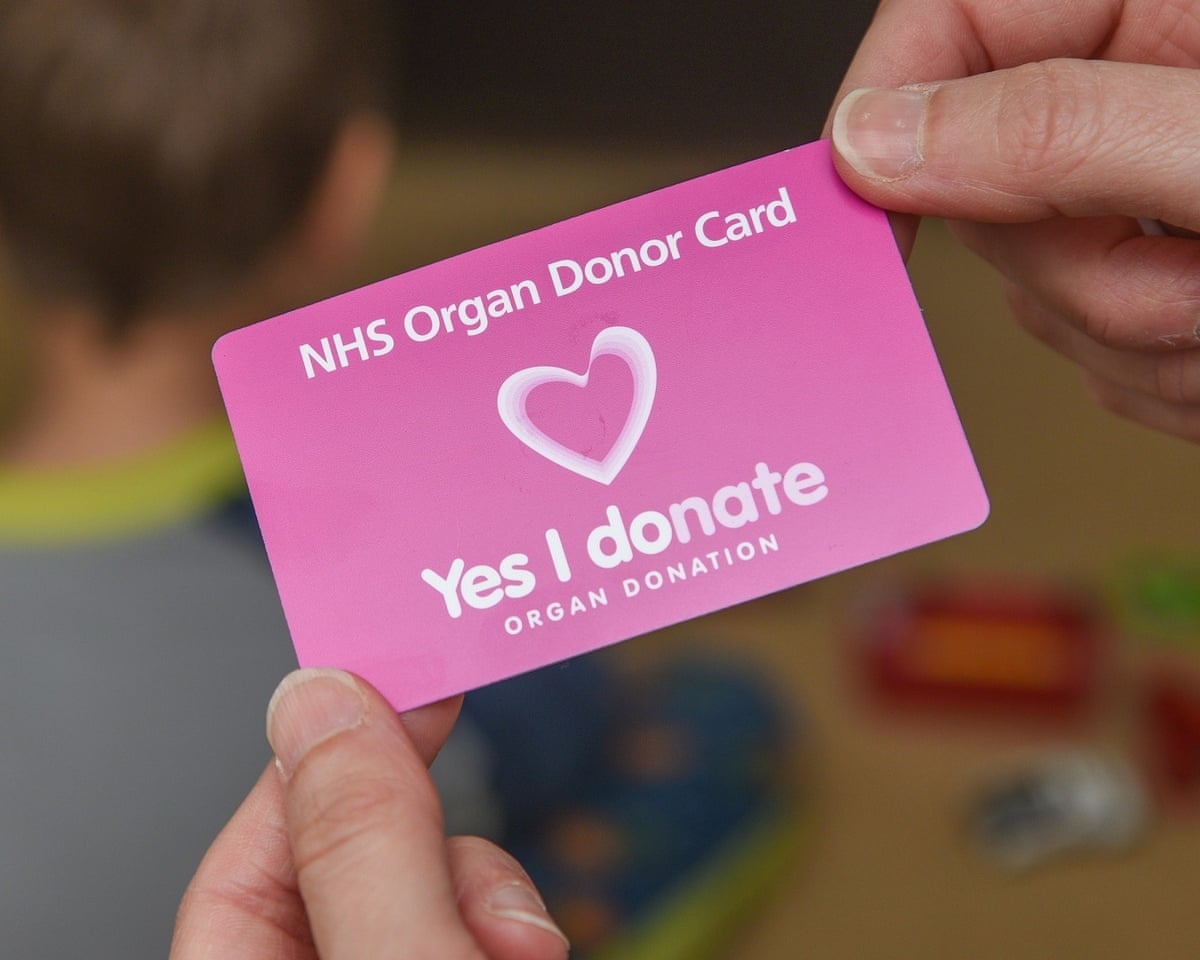 Machine could make more donated lungs suitable for transplant
