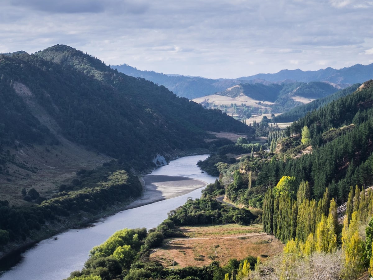 Rich Americans flock to apply for New Zealand's 'golden visas' after rules relaxed | New Zealand | The Guardian