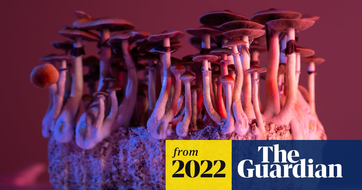 Magic mushrooms’ psilocybin can alleviate severe depression when used with therapy