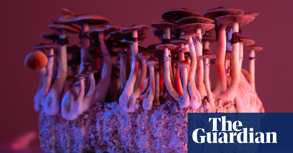 Magic mushrooms’ psilocybin can alleviate severe depression when used with thera..