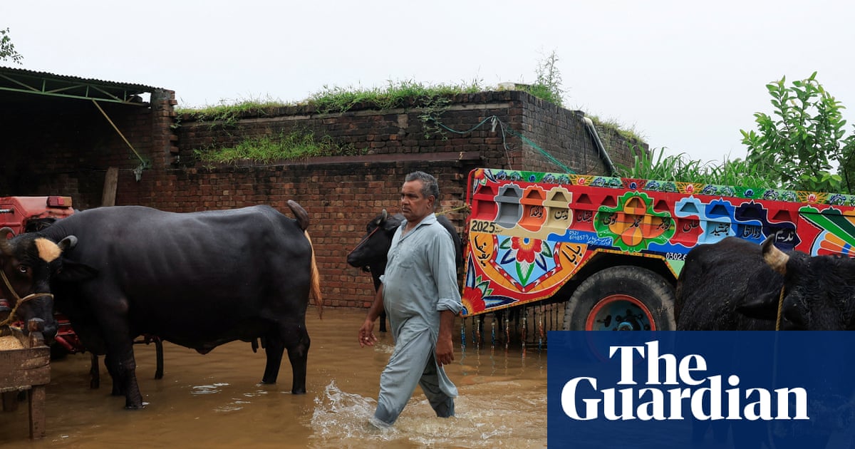 ‘The water left nothing’: Pakistan’s Punjab province reels from deadly floods