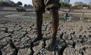 A man stands on a parched lake bed as he removes dead fish and rescues the surviving ones in Ahmadabad, India.