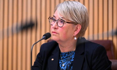 Greens senator Barbara Pocock.